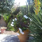 Bed & Breakfast L'arca