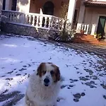 L'arca Bed & Breakfast Talsano