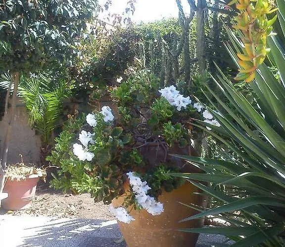 Bed & Breakfast L'arca