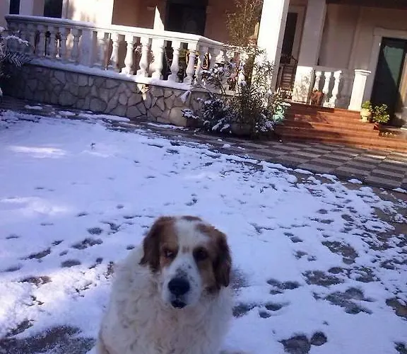 L'arca Bed & Breakfast Talsano