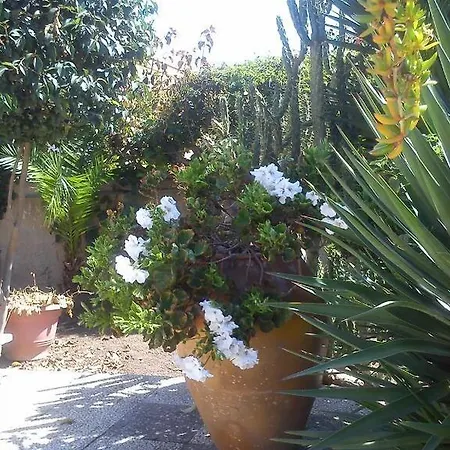 ベッド・アンド・ブレックファスト L'arca