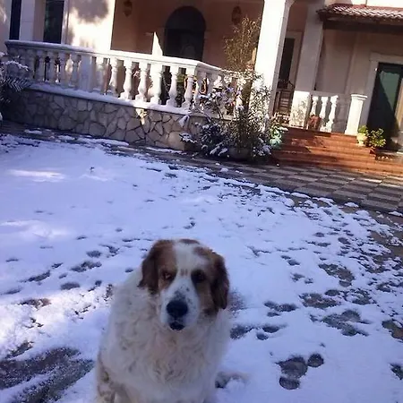 L'arca Bed & Breakfast Talsano